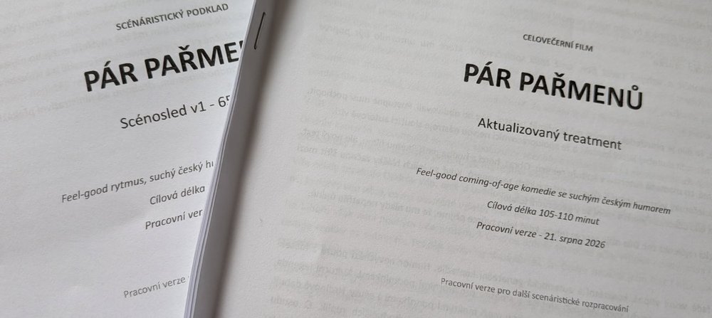 Pár Pařmenů – scénosled a treatment filmu